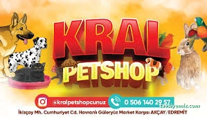 Kral Petshop , Akvaryum &Pethotel