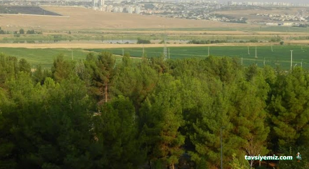 Kredi Ve Yurtlar Kurumu Selahattin Eyyubi Öğrenci