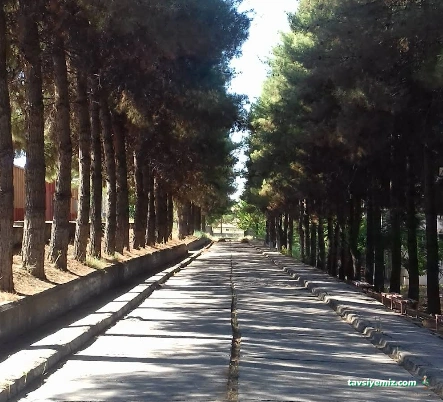 Kredi Ve Yurtlar Kurumu Selahattin Eyyubi Öğrenci