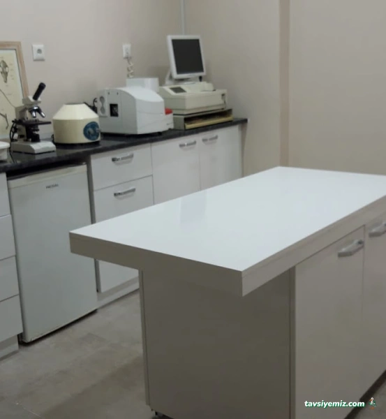 Küçükbakkalköy Veteriner Kliniği