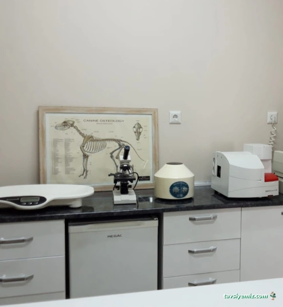 Küçükbakkalköy Veteriner Kliniği