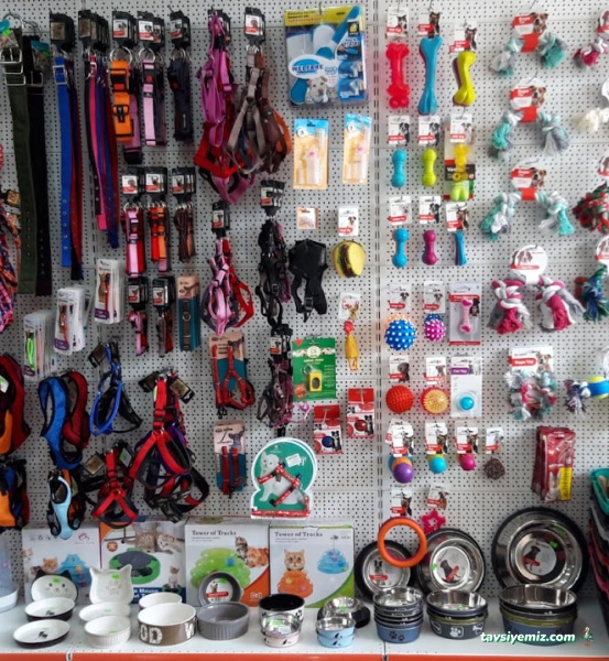 Küçükbakkalköy Veteriner Kliniği