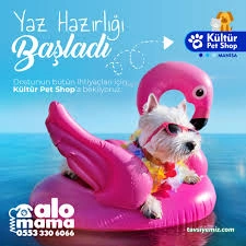 Kültür Petshop Alo Mama Hattı