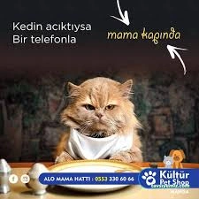 Kültür Petshop Alo Mama Hattı