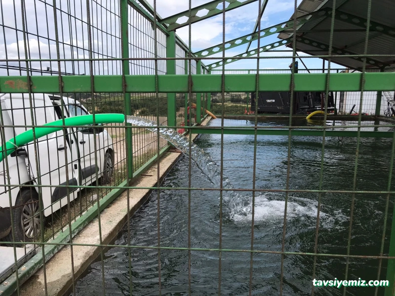 Kurtdereli Yenilenebilir Enerji Sistemleri