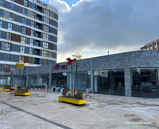 Kurtköy Pet Pro Petshop