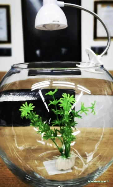 Kurtköy Pet Pro Petshop