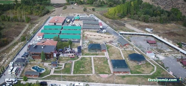 Kütahya Belediyesi Sokak Hayvanları Bakım Evi