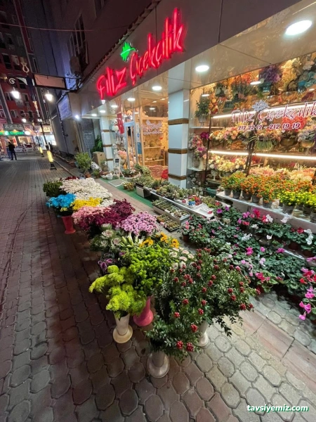 Kütahya Filiz Çiçek