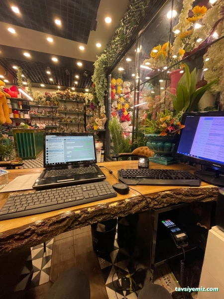 Kütahya Filiz Çiçek