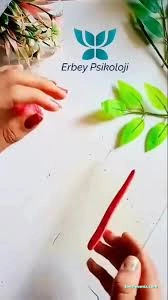 Kütahya Pedagog - Erbey Psikoloji Dikkat Ve Algı Geliştirme Merkezi