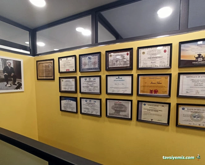 Levent Veteriner Polikliniği