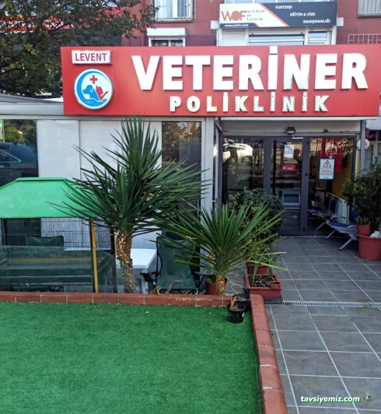 Levent Veteriner Polikliniği