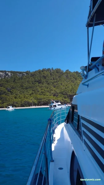 Limancepte - Tekne Ve Yat Kiralama