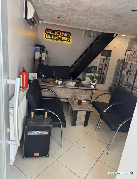 Lion Elektirik Elektronik