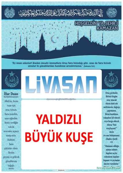 Livasan Organize Reklam