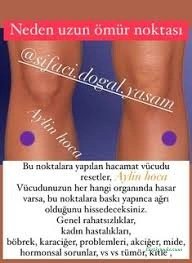 Lokman Hekim Doğal Yaşam Merkezi