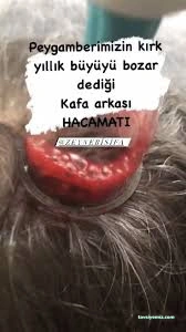 Lokman Hekim Doğal Yaşam Merkezi