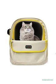 Love Pet Kuaför Otel Shop