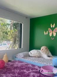 Love Pet Kuaför Otel Shop