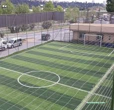 Mahmut Şevket Paşa Halı Saha