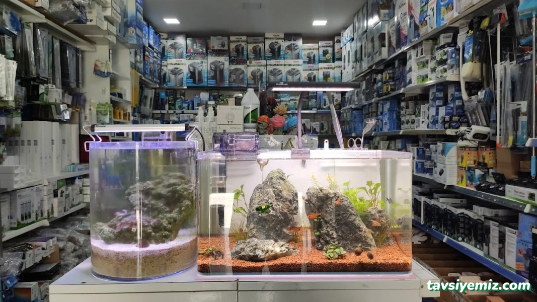 Malawi İzmir Akvaryum Ve Pet Ürünleri