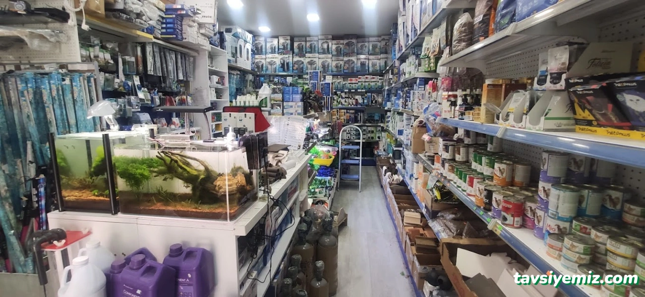 Malawi İzmir Akvaryum Ve Pet Ürünleri