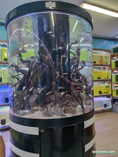 Malawi İzmir Akvaryum Ve Pet Ürünleri