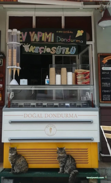 Malgaca Dondurmacısı