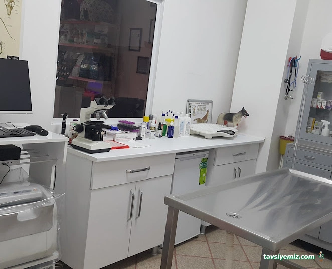 Mamak Veteriner Dünyası Veteriner Kliniği