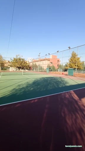 Manisa Tenis Dağcılık Spor Kulübü