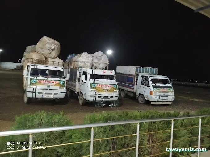 Mardin Kağıt Hurda - Reşitoğlu