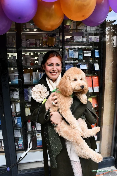 Mardin Organizasyon Otantik