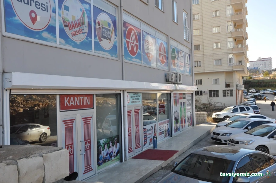 Mardin Pegem Akademi