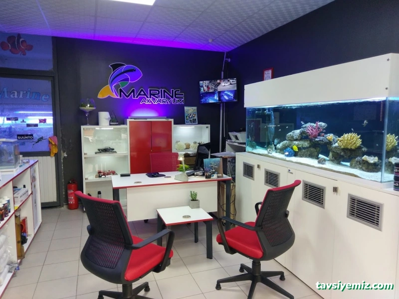 Marıne Akvaryum Sıstemlerı