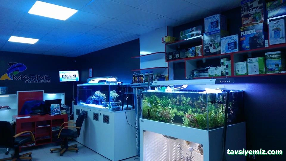 Marıne Akvaryum Sıstemlerı