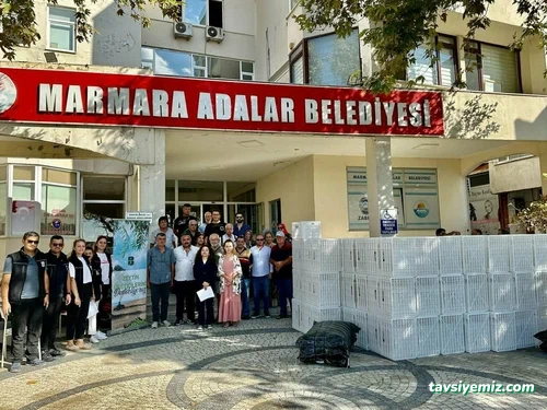 Marmara Belediyesi