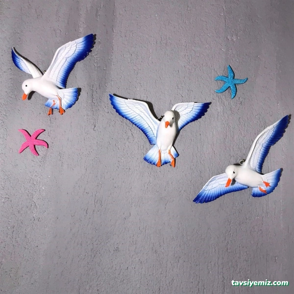 Martı Aksesuar - Hediye