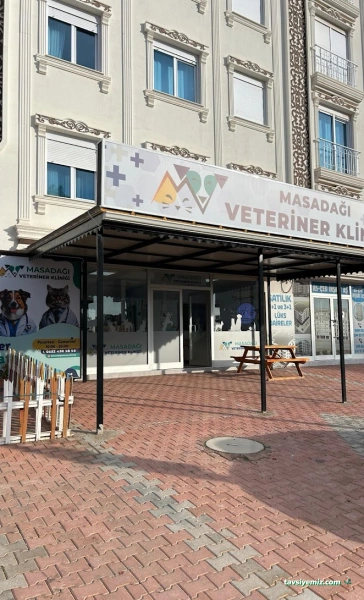 Masadağı Veteriner Kliniği