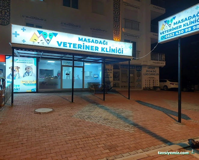 Masadağı Veteriner Kliniği