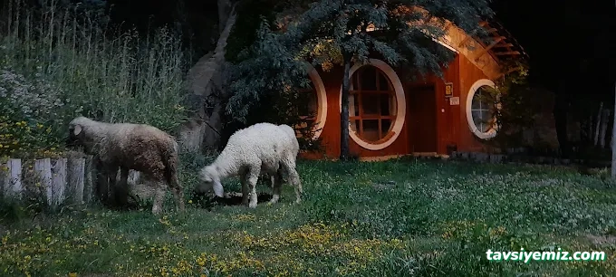 Masal Yamaç Otel Kafe