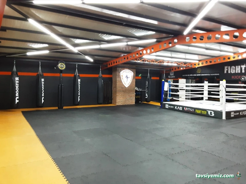 Master Fıght Academy