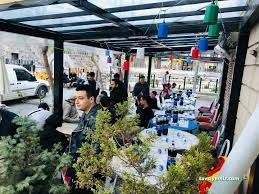 Mavera İnternet Cafe