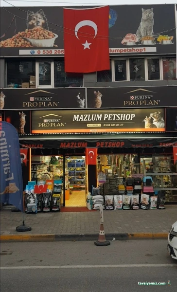 Mazlum Pet Shop