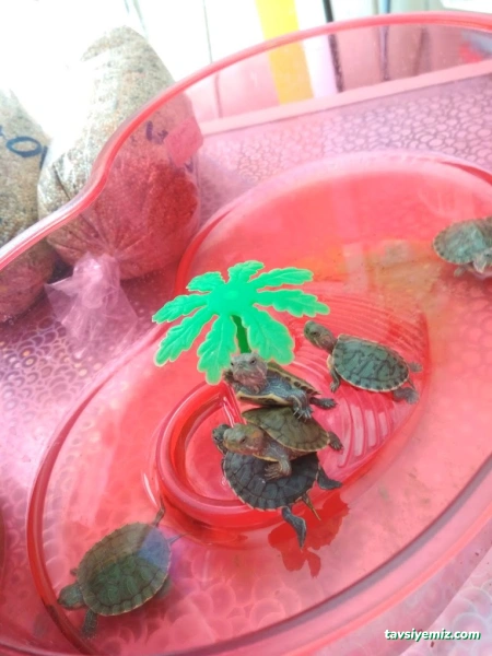 M.d. Akvaryum Pet Shop