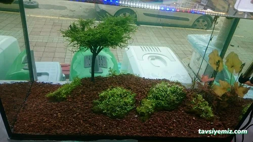 M.d. Akvaryum Pet Shop