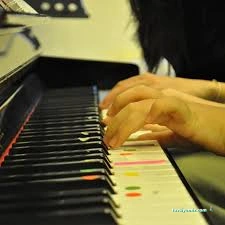 Meb Özel Taksim Sanat Evi Müzik Kursu