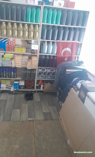 Mechanic Oto Bakım