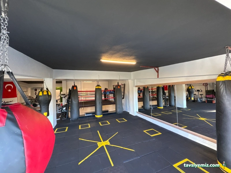 Mehmet Sezer Spor Akademisi