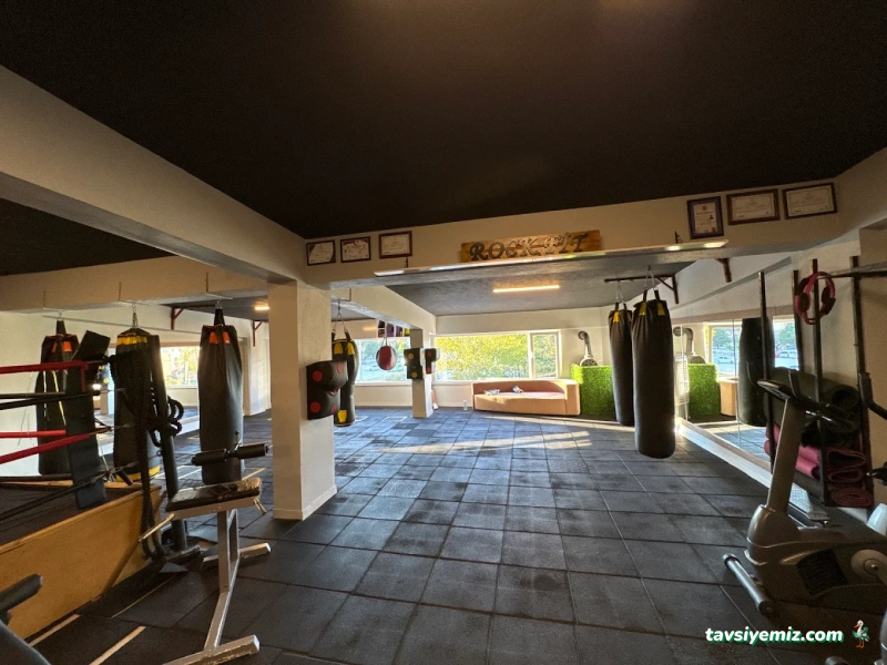 Mehmet Sezer Spor Akademisi